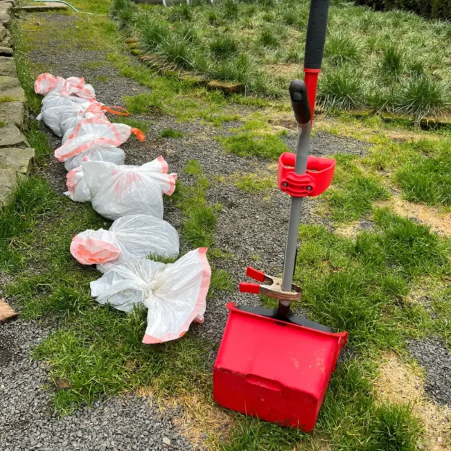 Do It Yourself – Poop Free Yard!